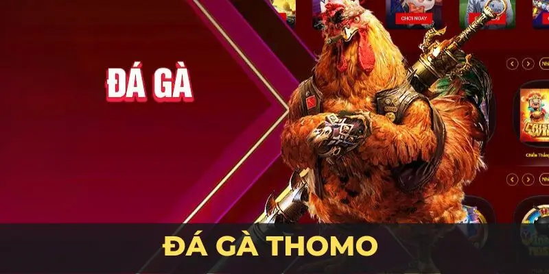 Đá Gà Thomo Bet88 - Sảnh Game Đầy Lôi Cuốn Và Hấp Dẫn