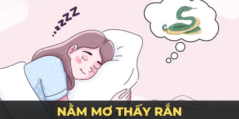 Nằm Mơ Thấy Rắn Và Những Ý Nghĩa Bất Ngờ Trong Lô Đề